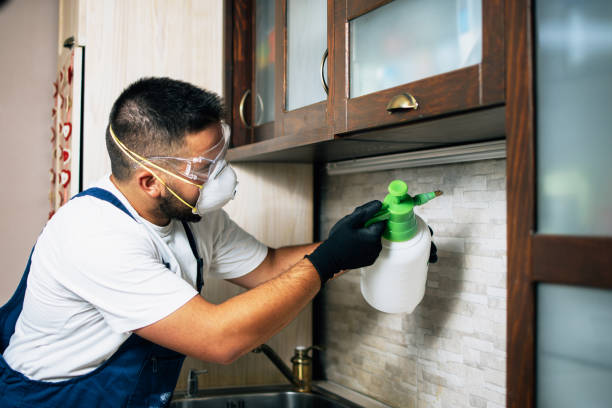 Best Pest Prevention Services  in Woodstock, GA