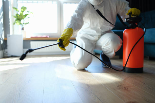 Trusted Woodstock, GA Pest Control Experts