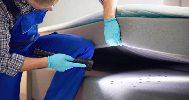 Best Flea Control Services  in Woodstock, GA