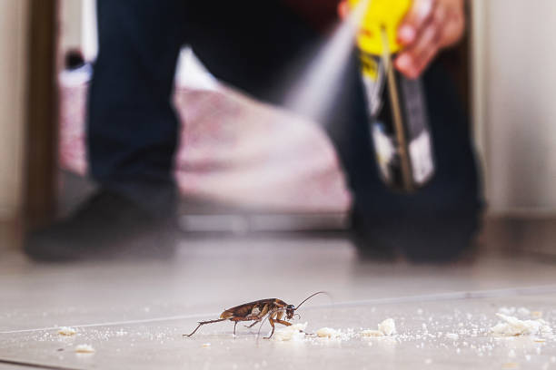 Best Pest Removal Services  in Woodstock, GA