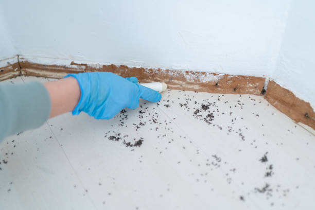 Best Emergency Pest Control  in Woodstock, GA