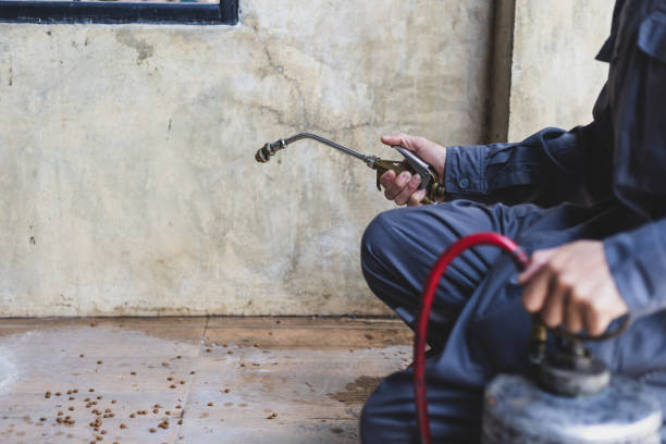 Best Best Pest Control Companies  in Woodstock, GA