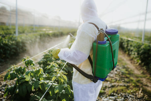 Professional Pest Control in Woodstock, GA